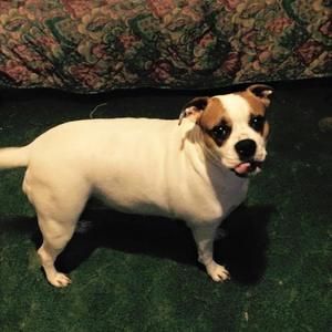 Meet your Posher, Shannon